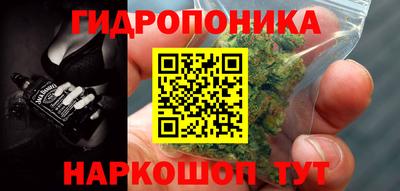 скорость Заводоуковск