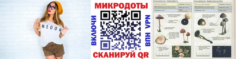 Галлюциногенные грибы мицелий Добрянка